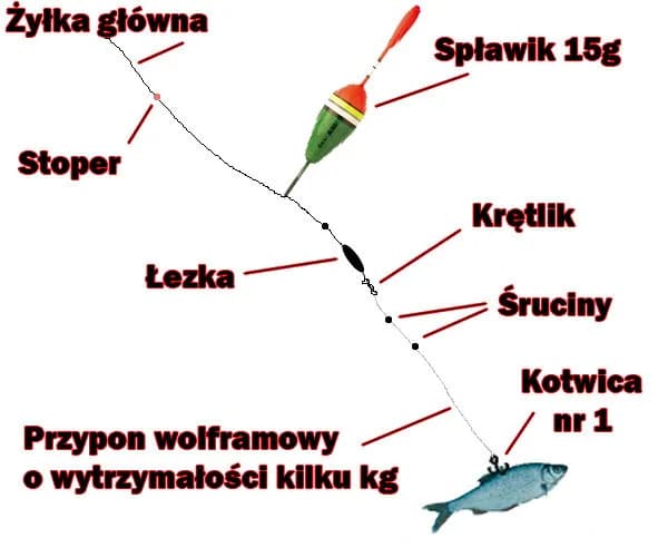 Najlepsza wędka na żywca z gruntu - jak wybrać idealny sprzęt