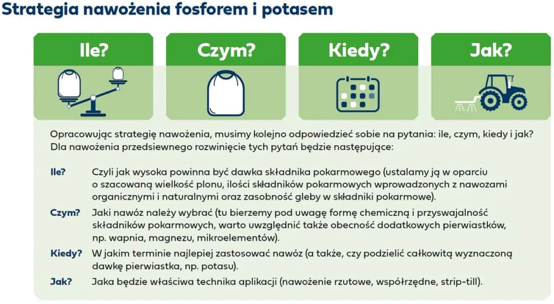 Jak stosować naturalny nawóz potasowy - skuteczne techniki